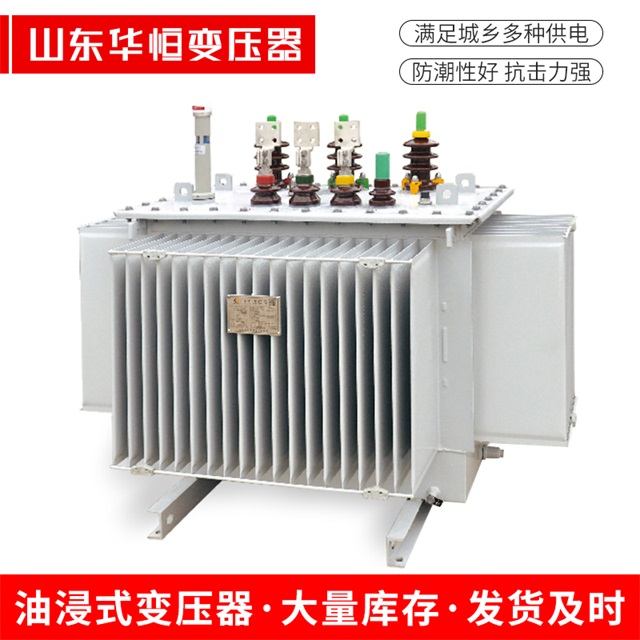 S13-10000/35西充西充西充电力变压器